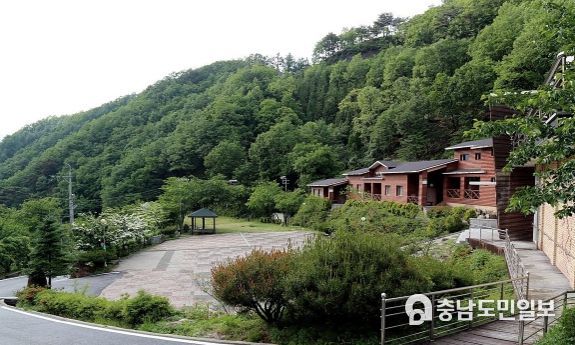 민주지산자연휴양림 이미지