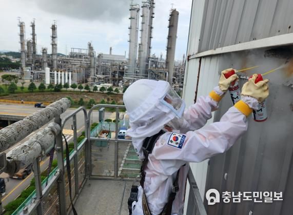 신고를 받고 출동한 서산소방서 대원들이 벌집을 제거하고 있다.