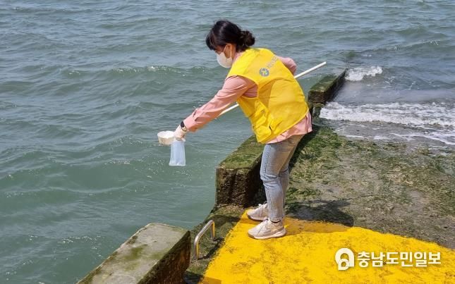 5월 벌천포항에서 진행된 비브리오패혈증 유행예측조사 검체 채취