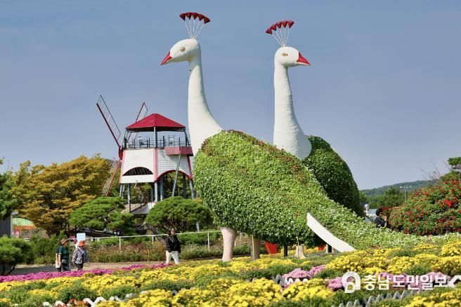 지난해 태안 가을꽃박람회 모습