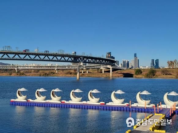 세종시, 이응다리 달빛배 시범운영 이용자 94% '만족'