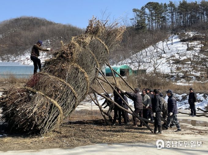 청양 정산 동화제 모니터링